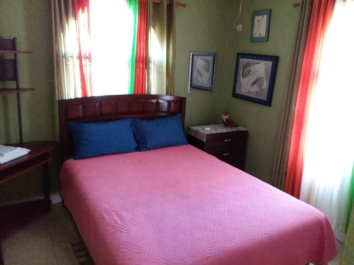 Cozy Apartment 3 金斯敦 外观 照片